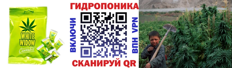 Cannafood марихуана  Альметьевск 