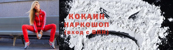 шишки Абинск